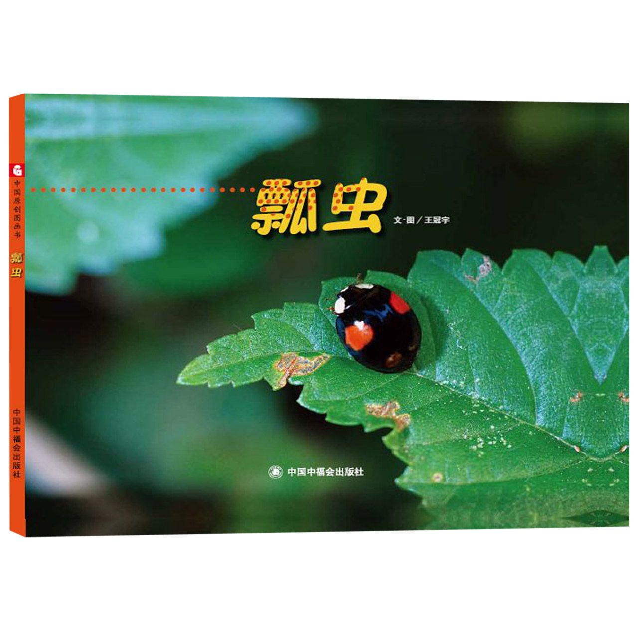 瓢虫(精)