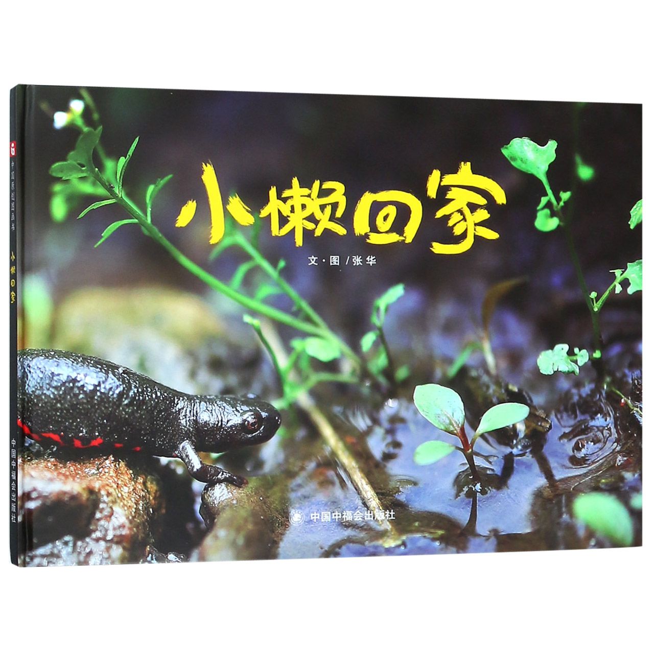 小懒回家(精)