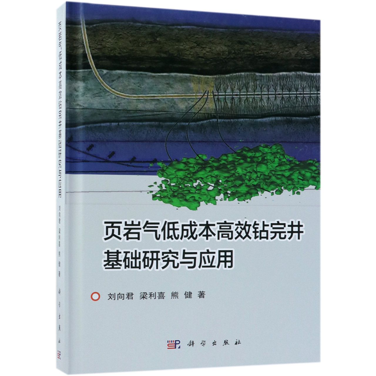 页岩气低成本高效钻完井基础研究与应用(精)