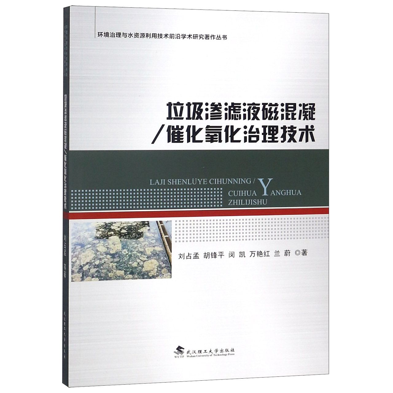 垃圾渗滤液磁混凝催化氧化治理技术/环境治理与水资源利用技术前沿学术研究著作丛书