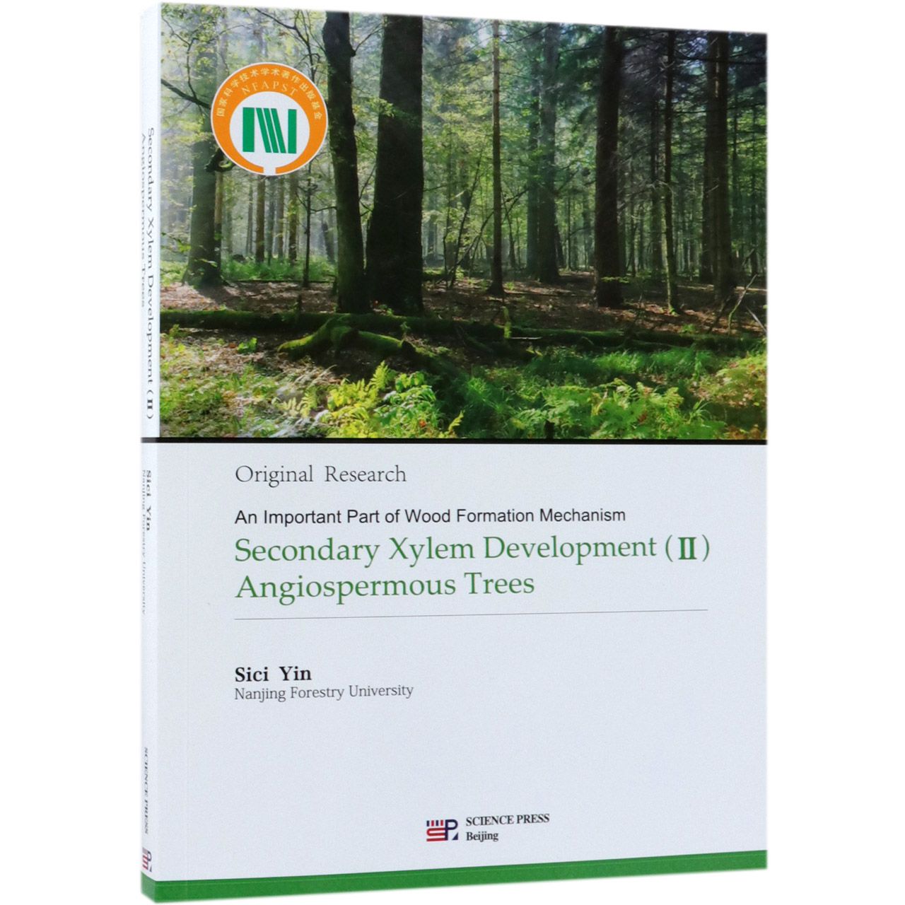 Secondary Xylem DevelopmentAngiospermous Trees
