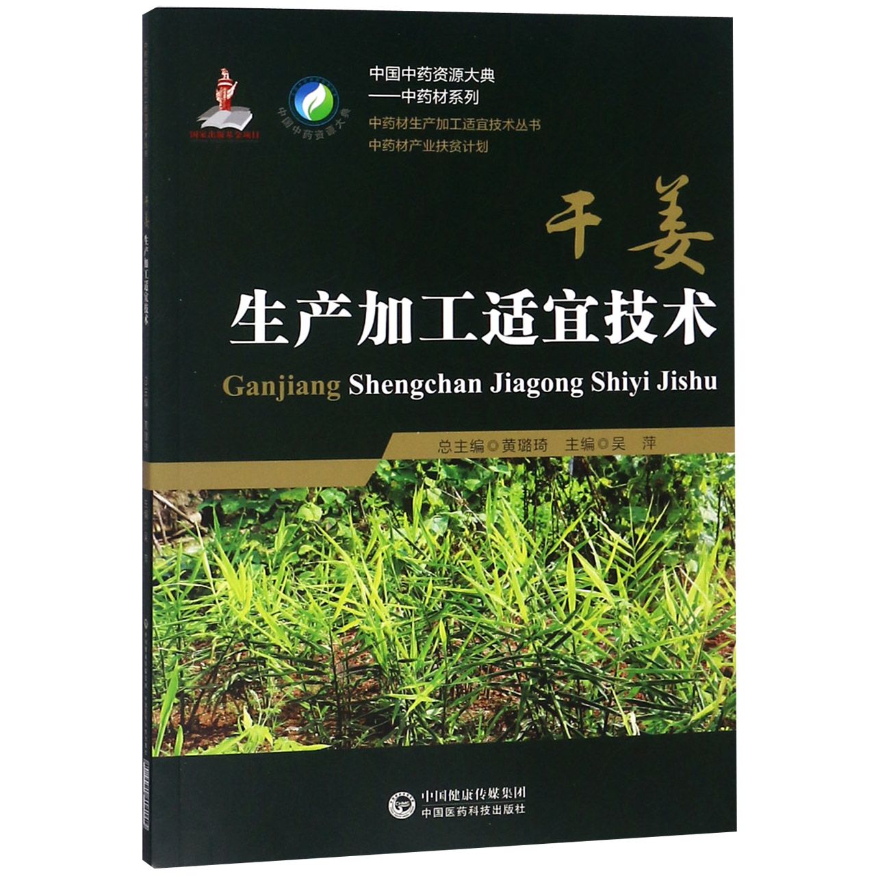 干姜生产加工适宜技术/中国中药资源大典中药材系列/中药材生产加工适宜技术丛书