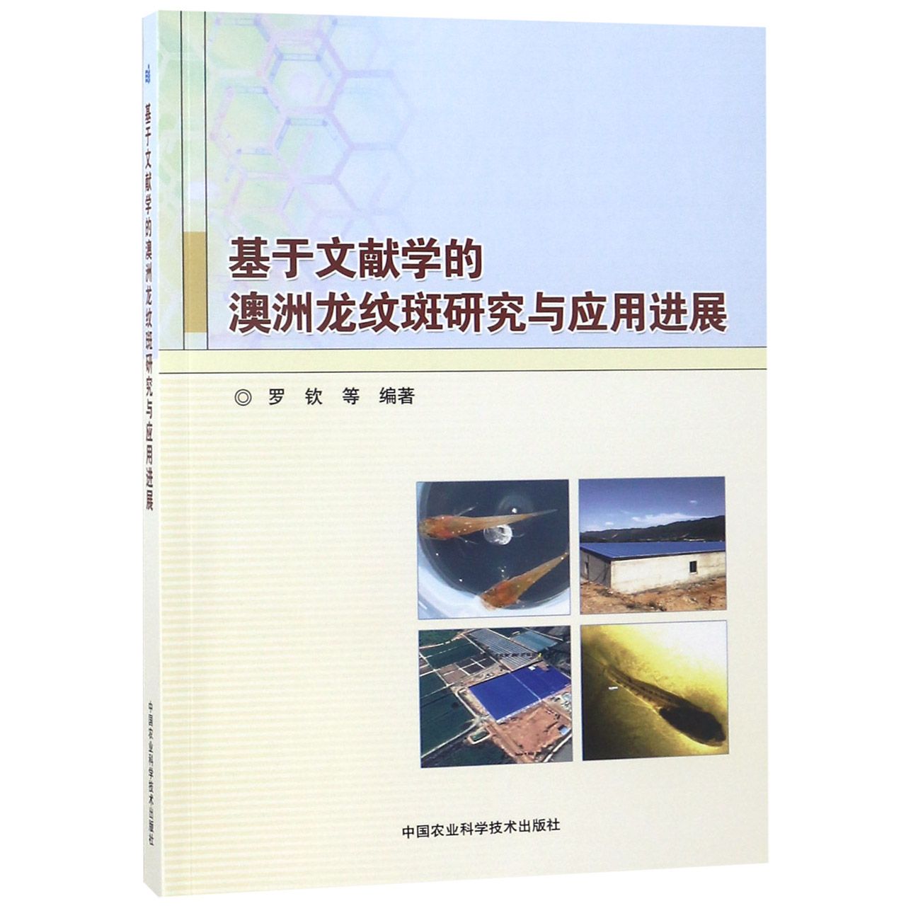 基于文献学的澳洲龙纹斑研究与应用进展