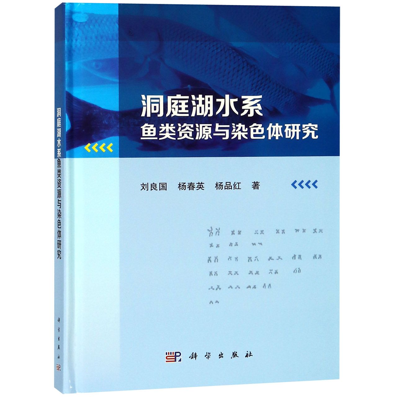 洞庭湖水系鱼类资源与染色体研究(精)