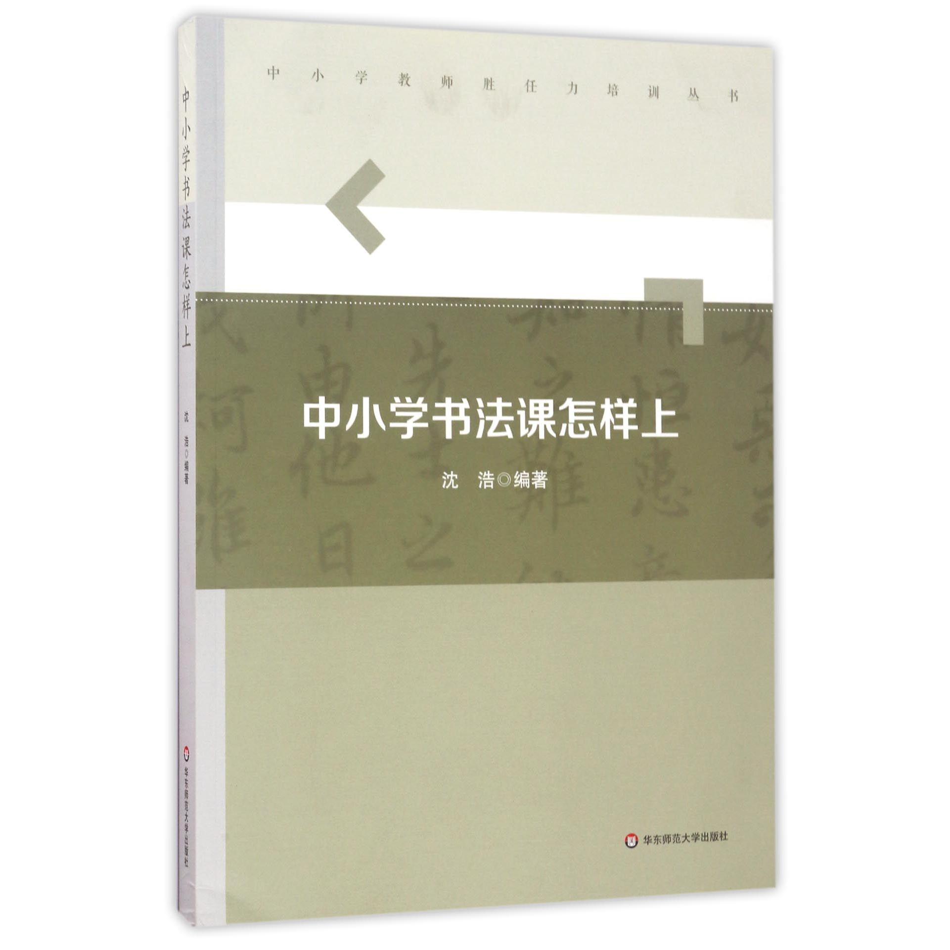 中小学书法课怎样上/中小学教师胜任力培训丛书