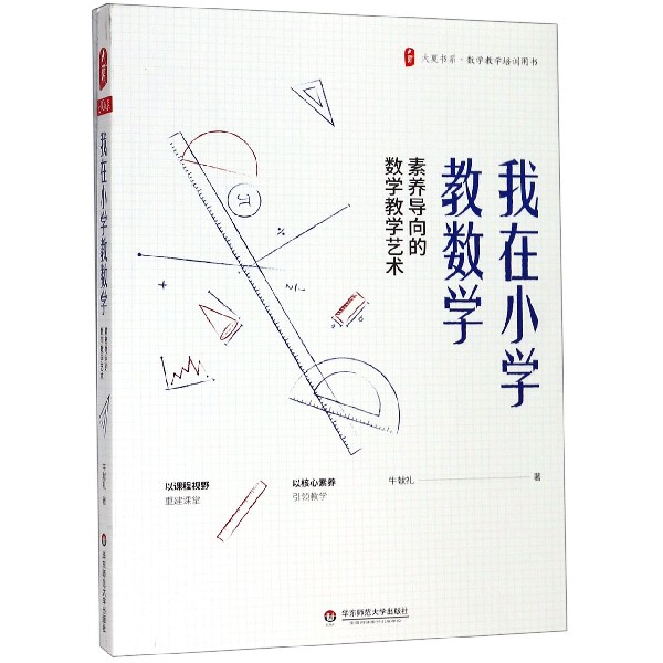 我在小学教数学(素养导向的数学教学艺术)/大夏书系
