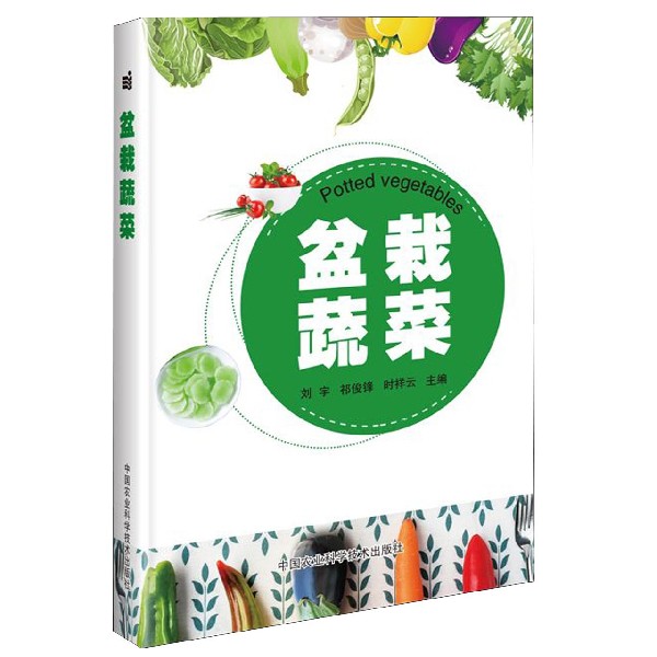 盆栽蔬菜