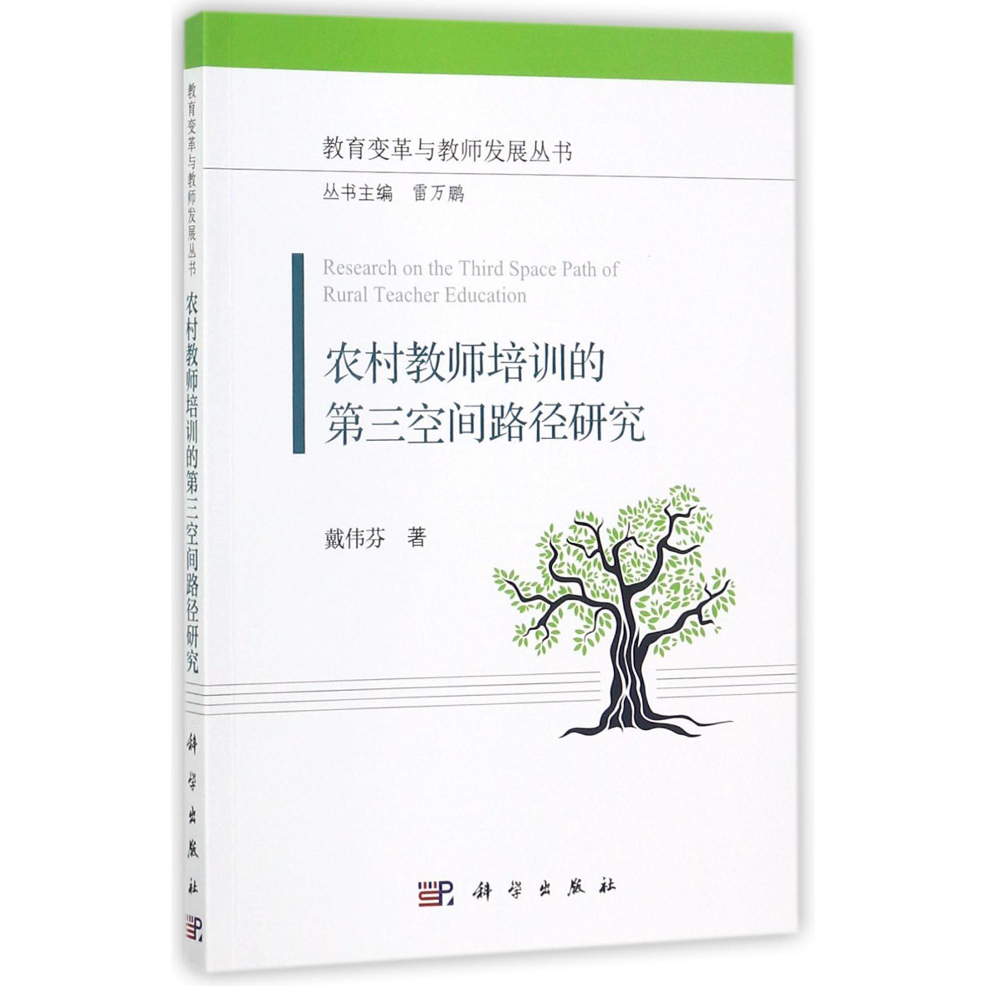 农村教师培训的第三空间路径研究/教育变革与教师发展丛书