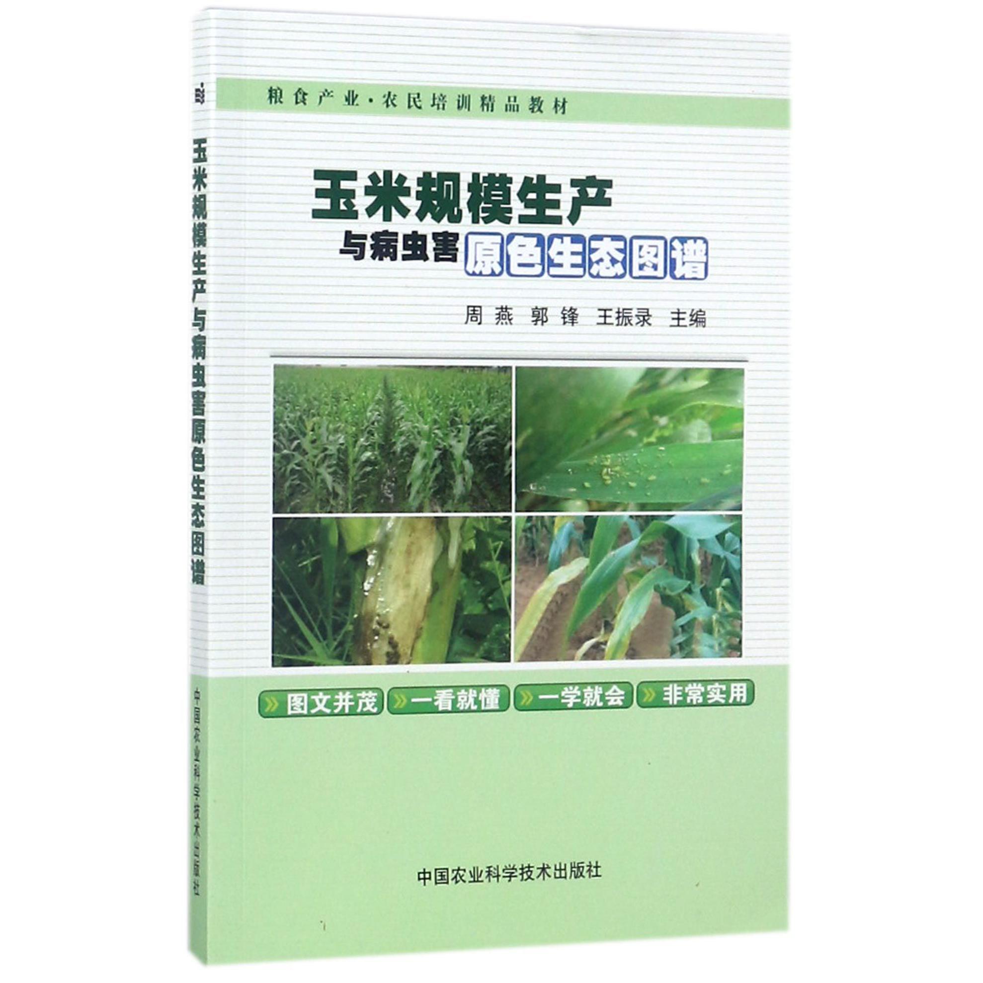 玉米规模生产与病虫害原色生态图谱(粮食产业农民培训精品教材)