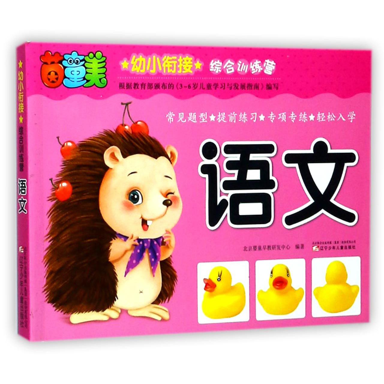 语文/幼小衔接综合训练营