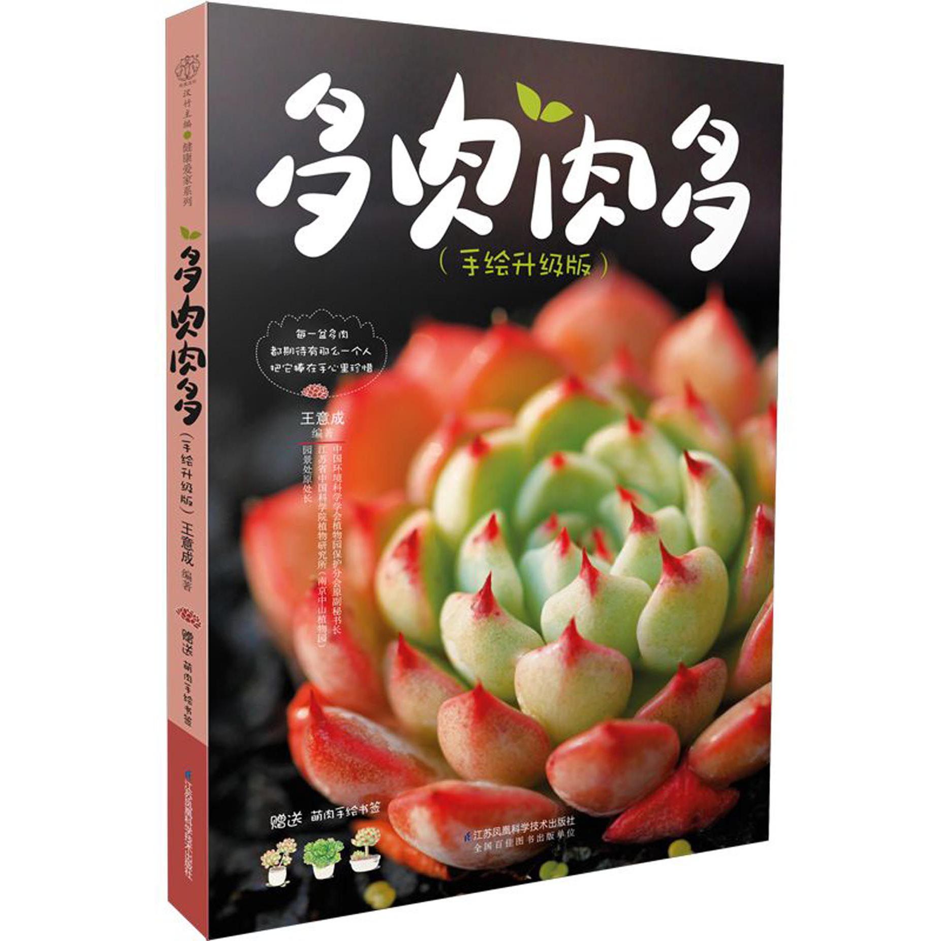 多肉肉多(手绘升级版)