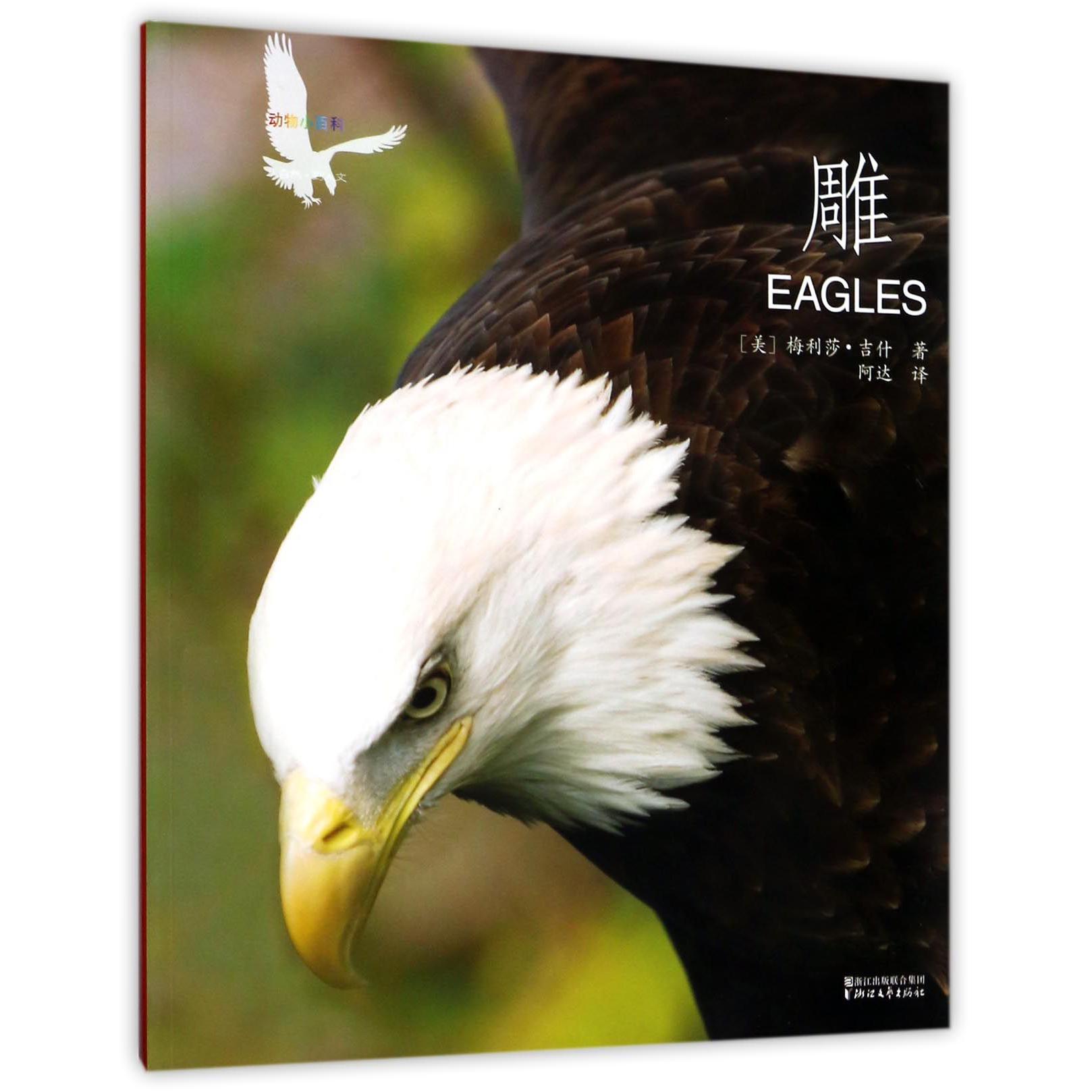 雕/动物小百科