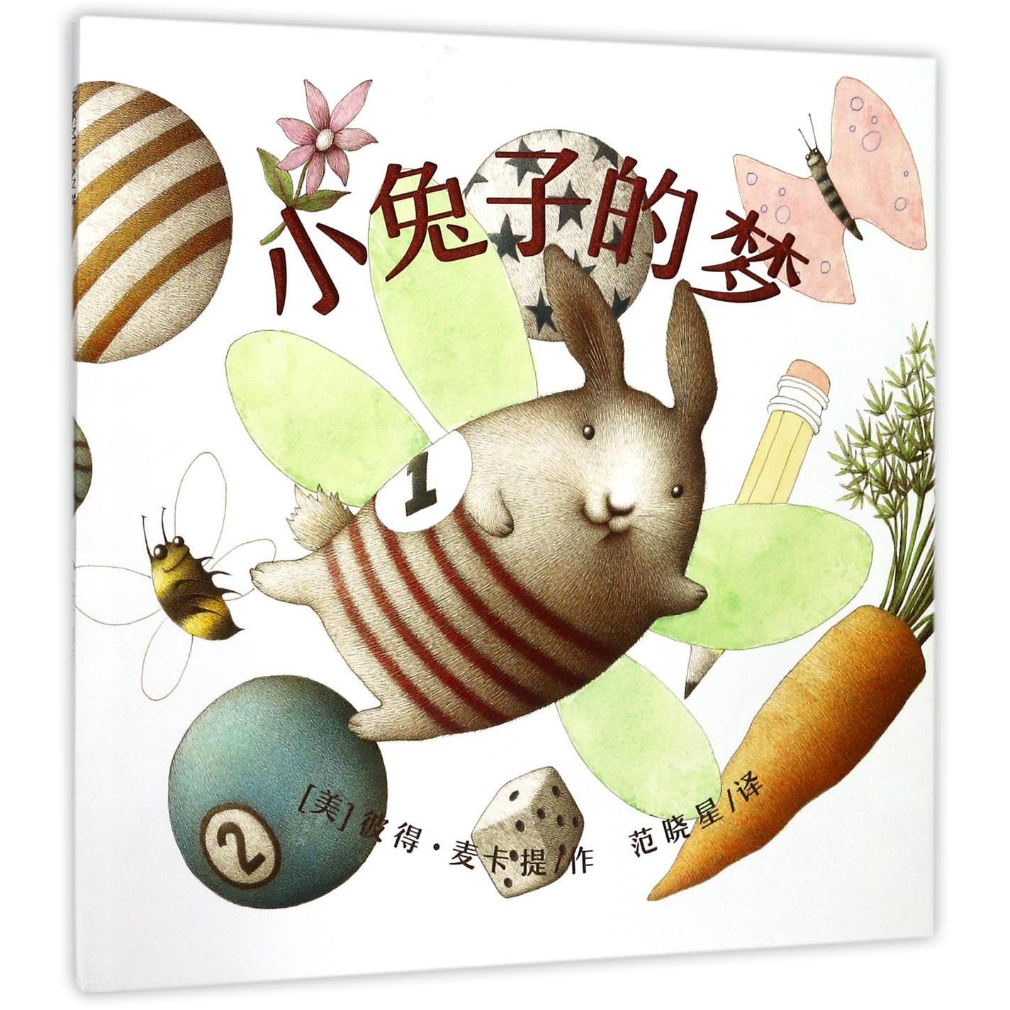 小兔子的梦(精)