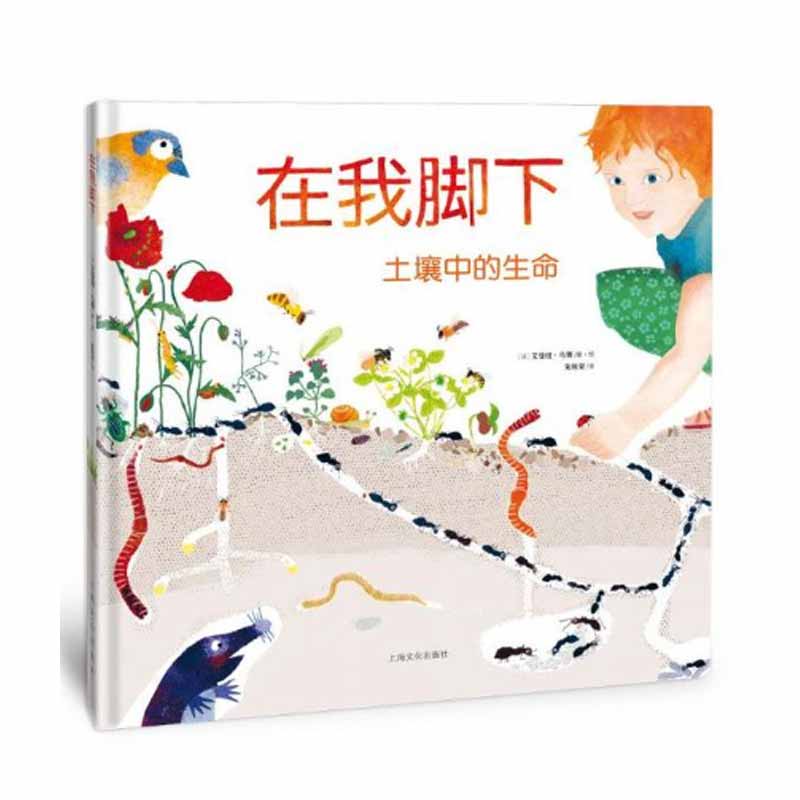 在我脚下(土壤中的生命)(精)