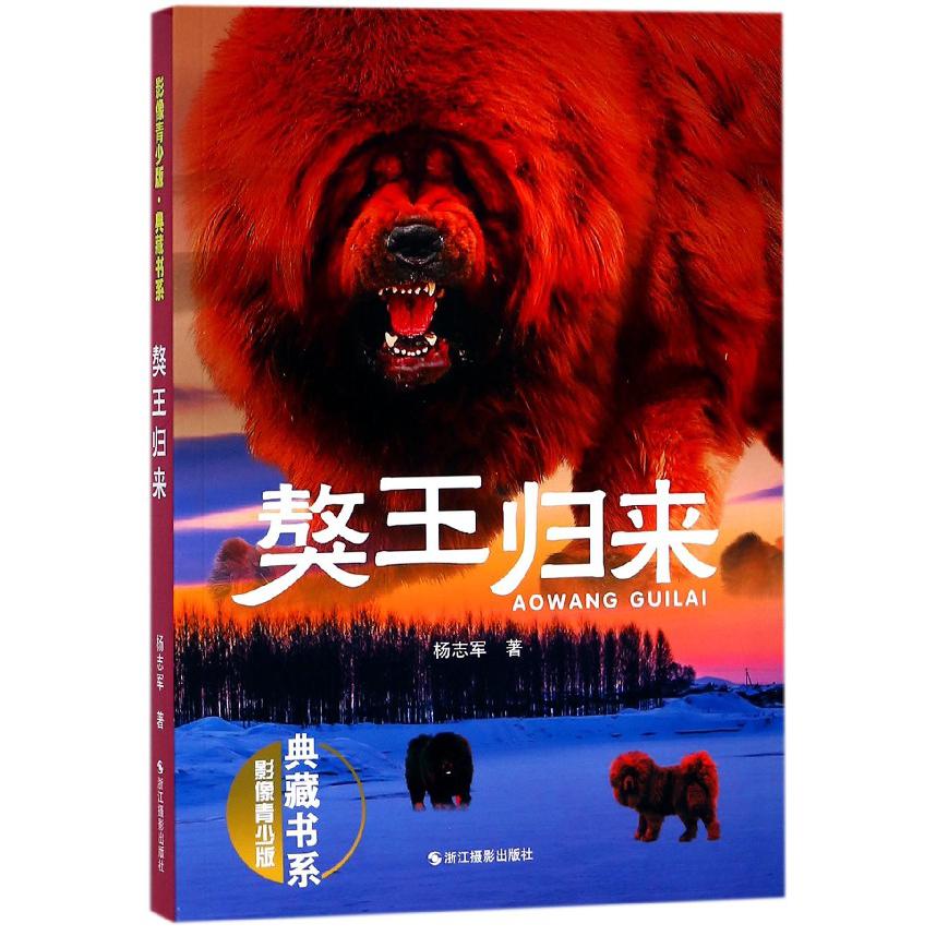 獒王归来(影像青少版)/典藏书系