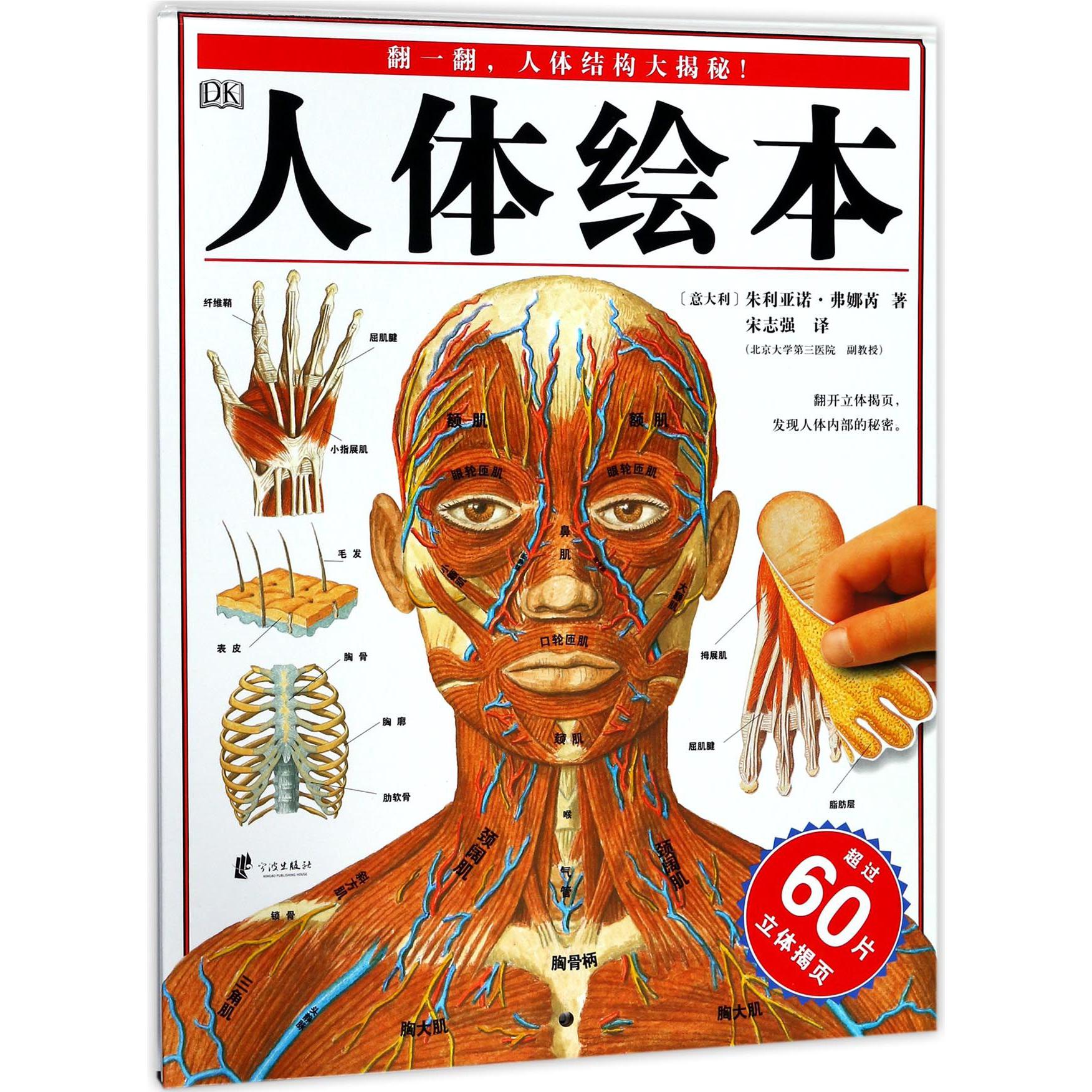 人体绘本(精)