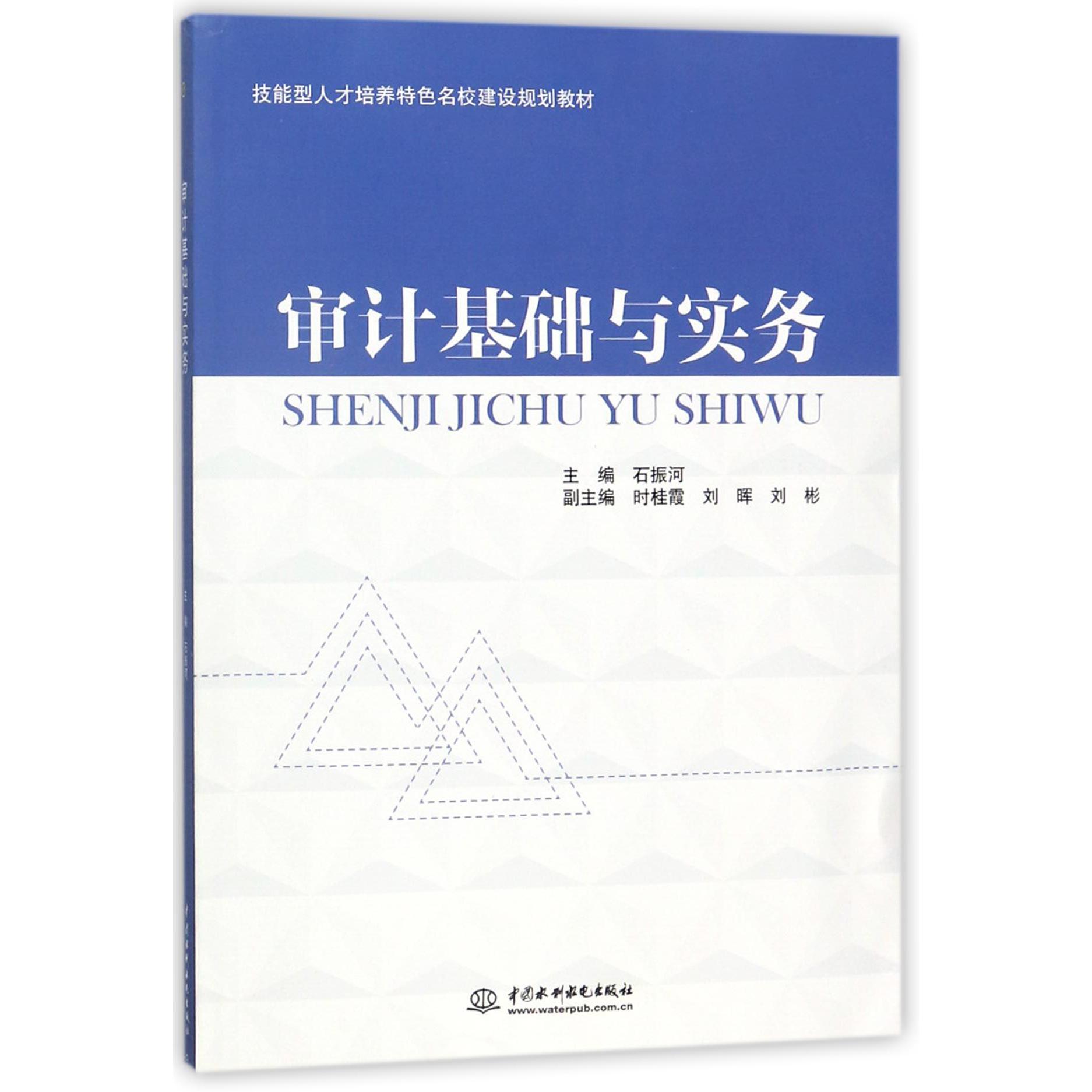 审计基础与实务(技能型人才培养特色名校建设规划教材)