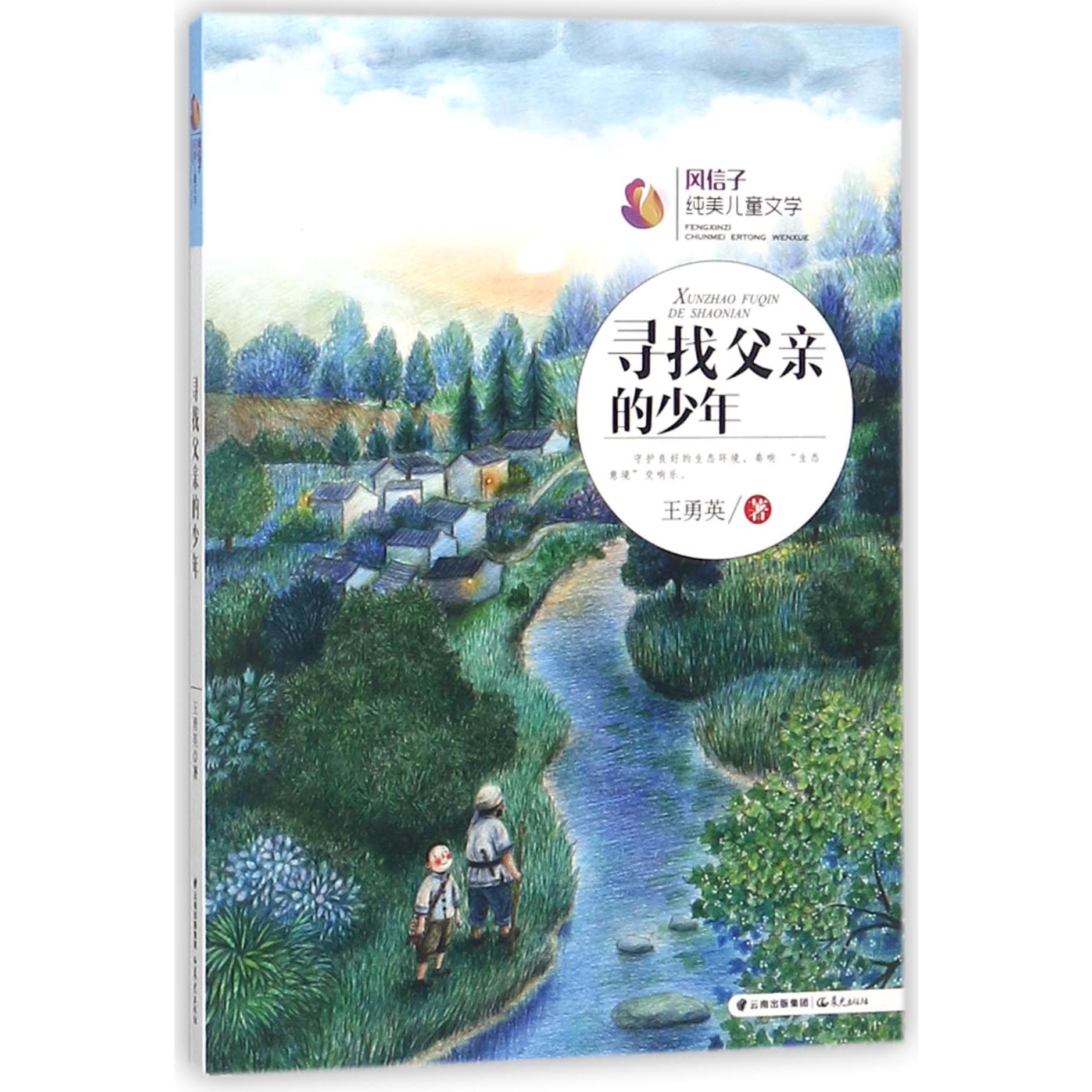 寻找父亲的少年/风信子纯美儿童文学