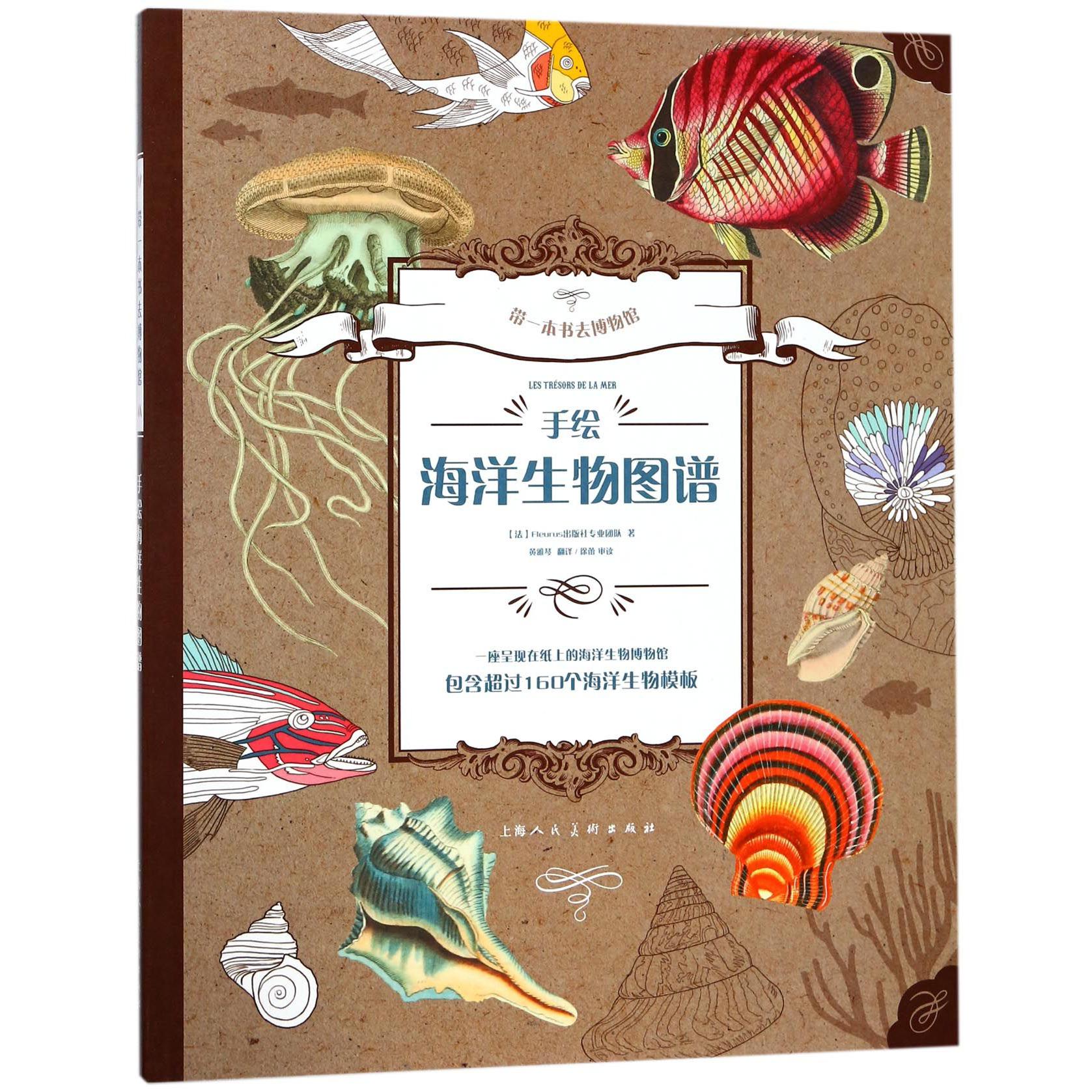 手绘海洋生物图谱/带一本书去博物馆