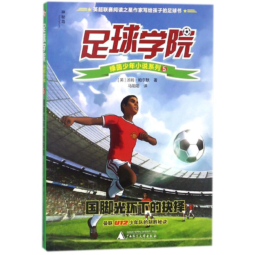 国脚光环下的抉择/足球学院绿茵少年小说系列