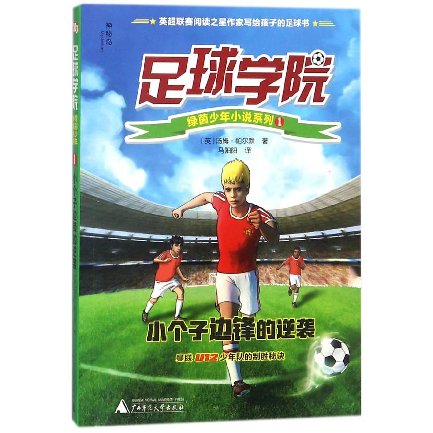 小个子边锋的逆袭/足球学院绿茵少年小说系列