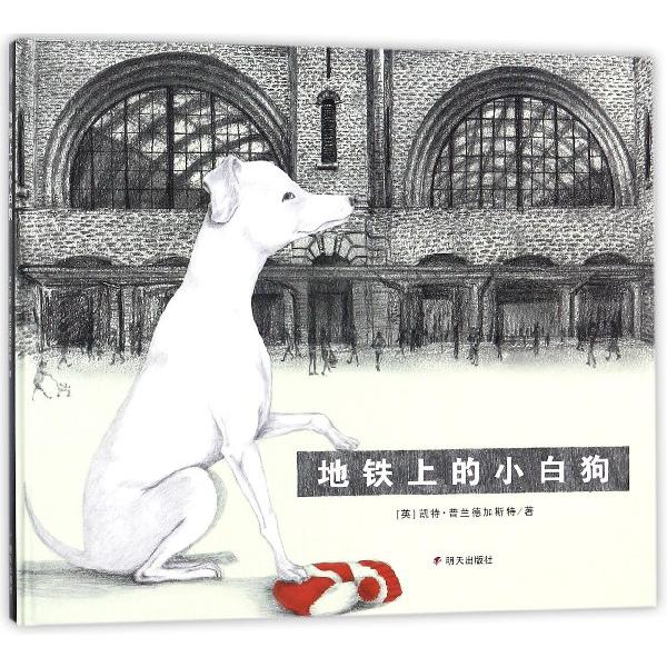 地铁上的小白狗(精)