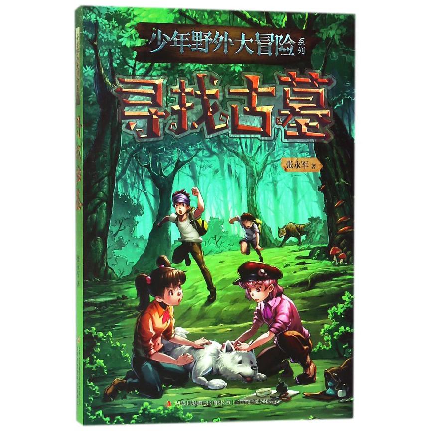 寻找古墓/少年野外大冒险系列