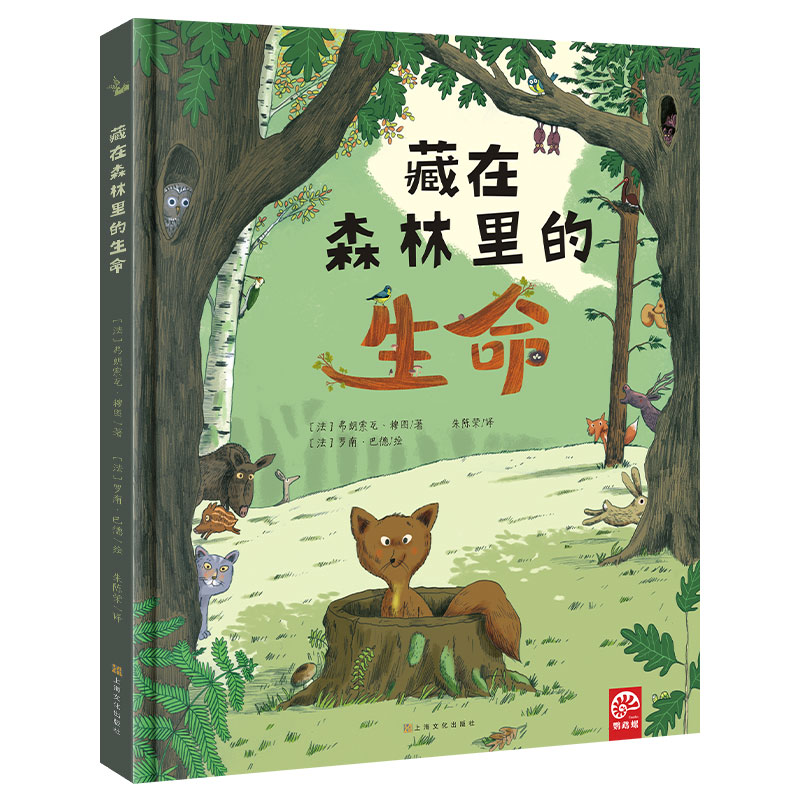 藏在森林里的生命(精)