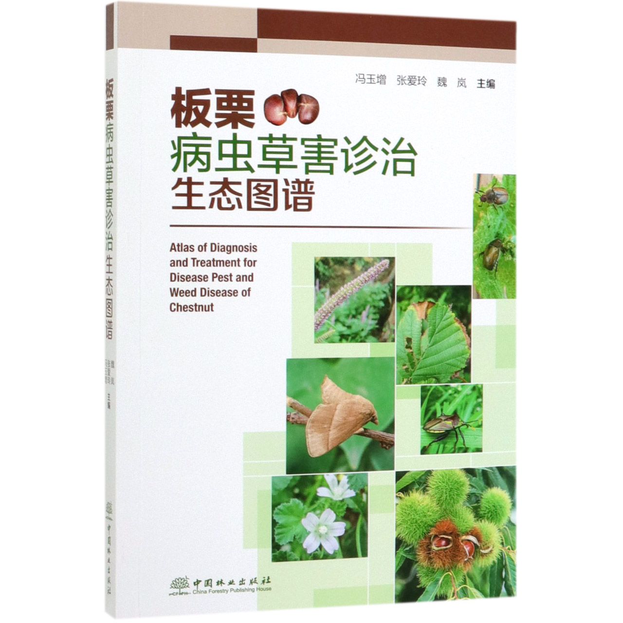 板栗病虫草害诊治生态图谱