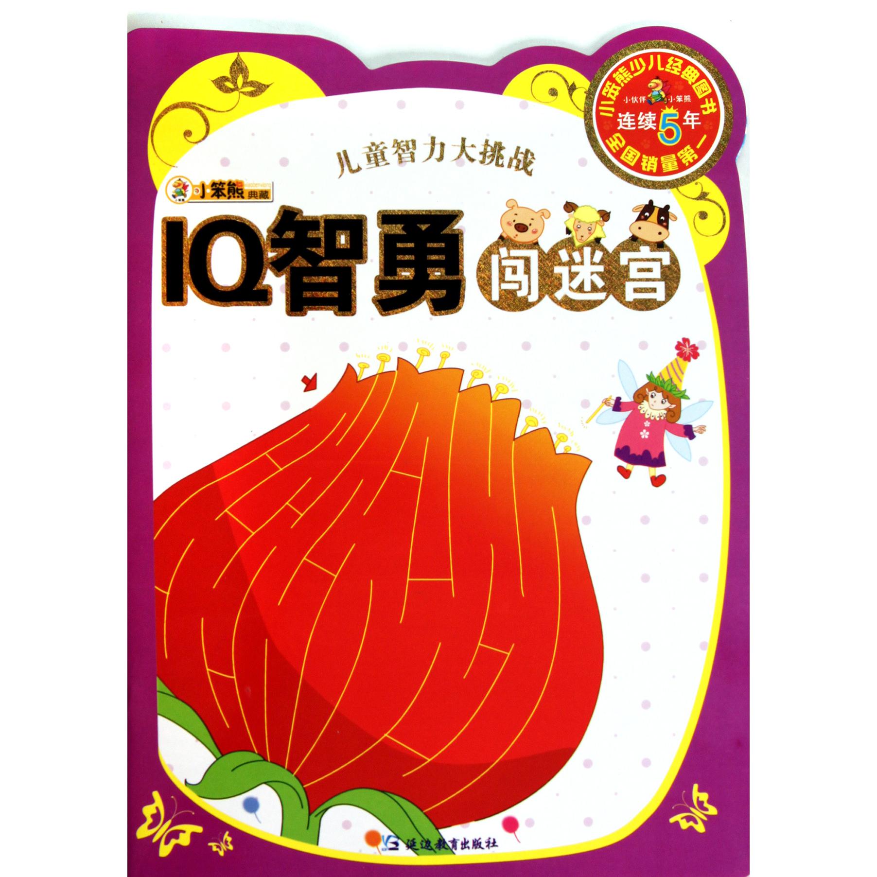 IQ智勇闯迷宫/儿童智力大挑战