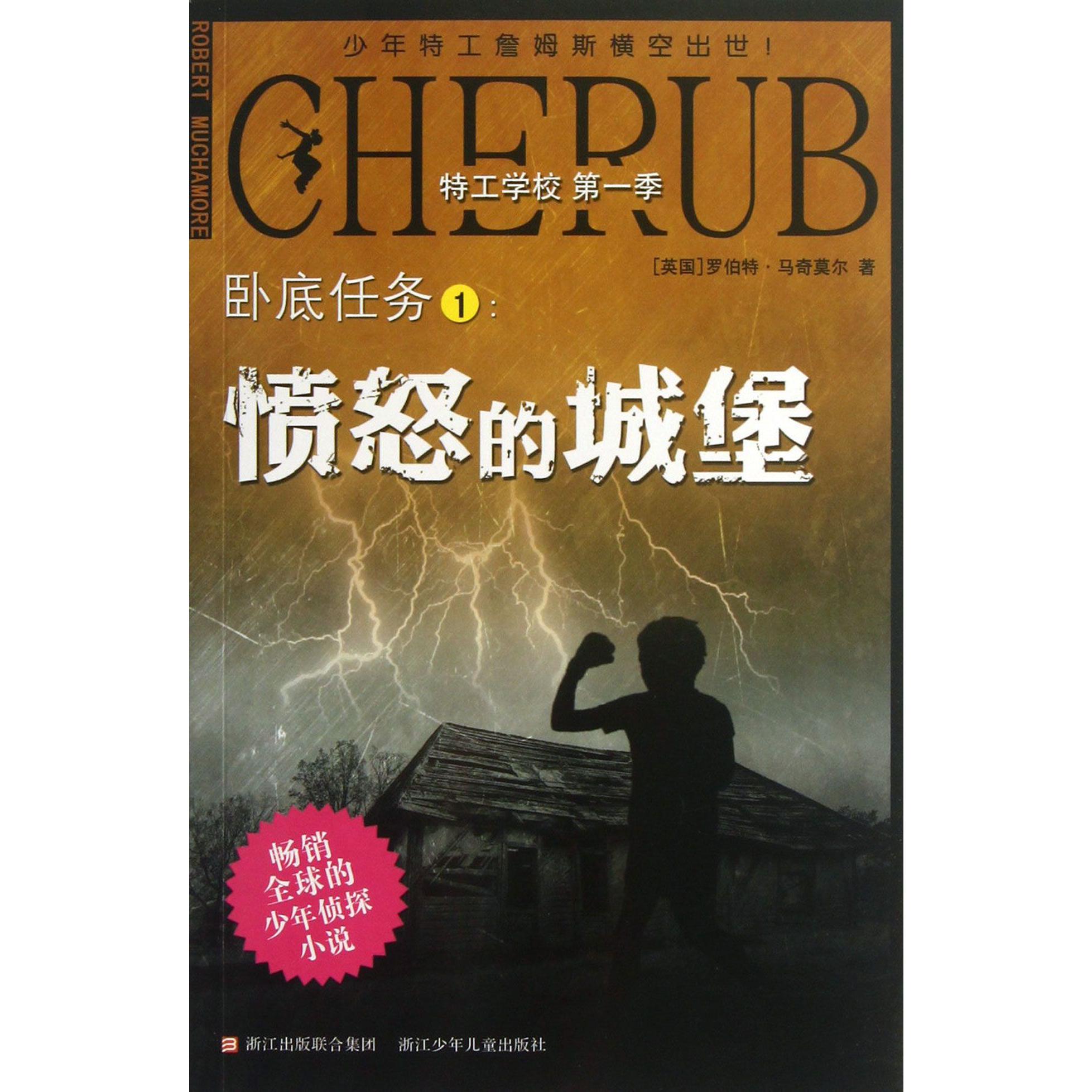 卧底任务(1愤怒的城堡)/特工学校