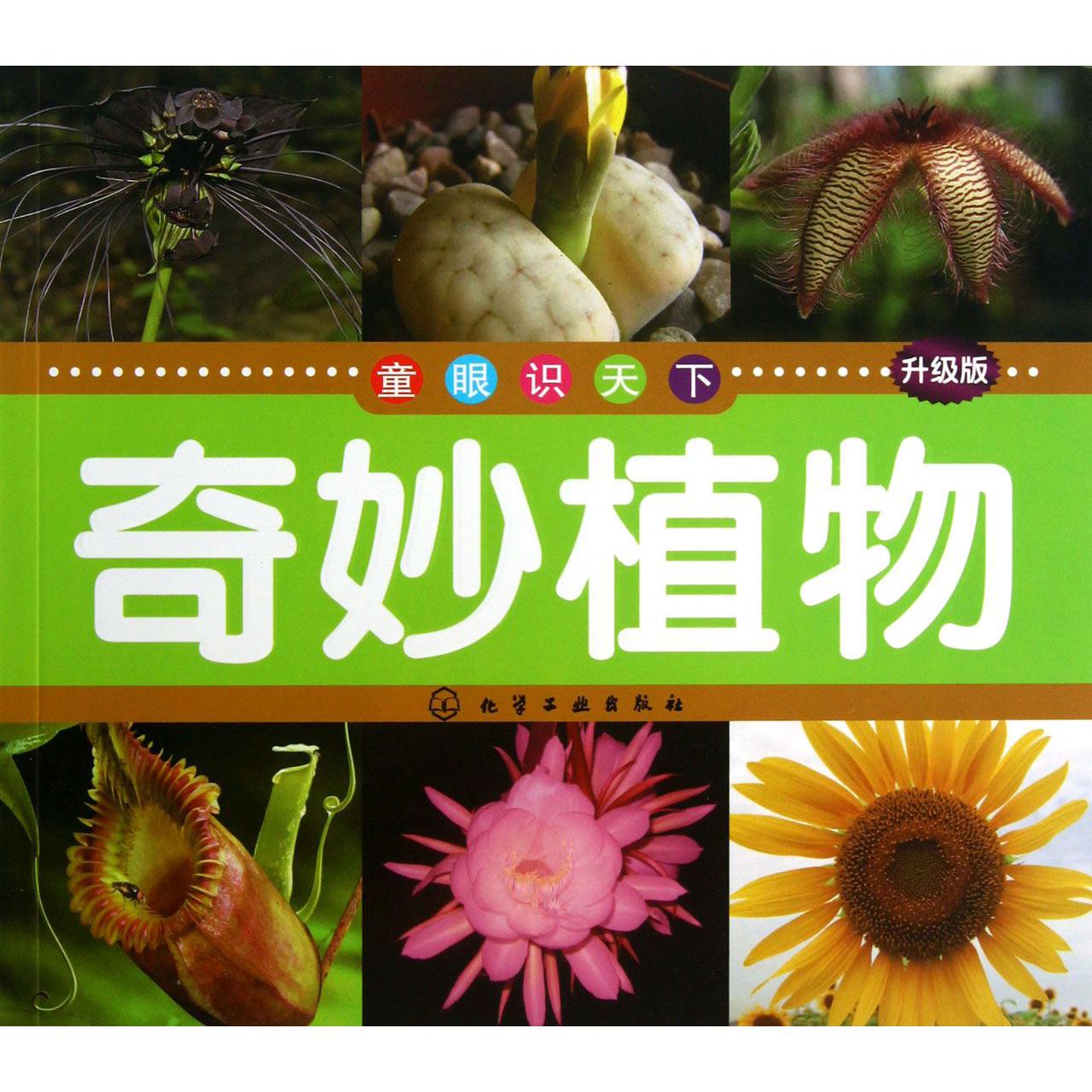 奇妙植物(升级版)/童眼识天下