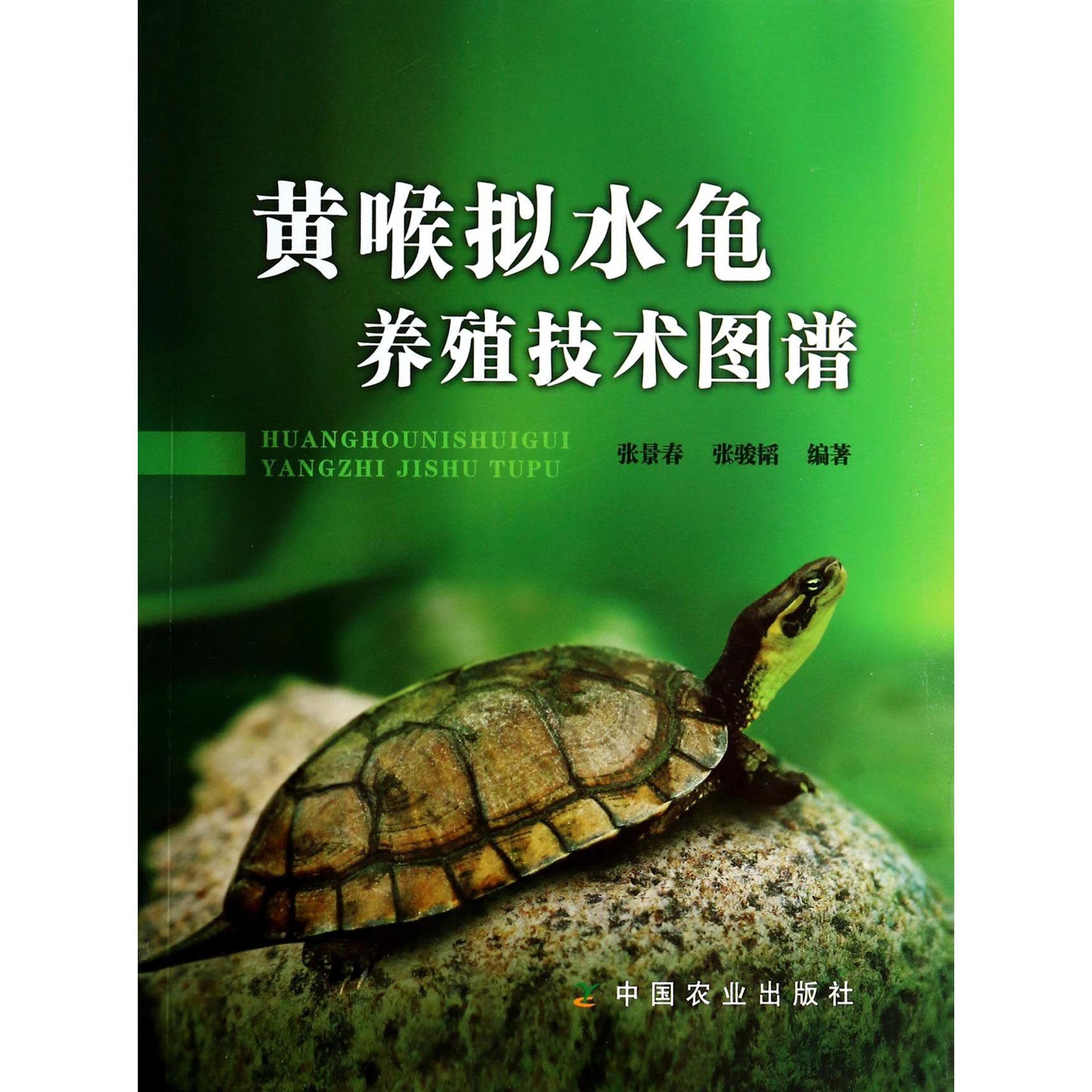 黄喉拟水龟养殖技术图谱