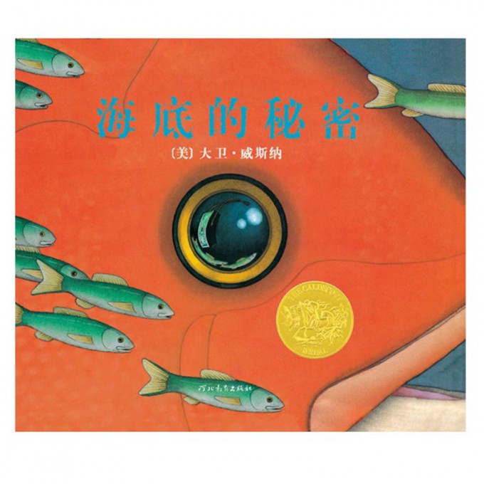 海底的秘密(精)