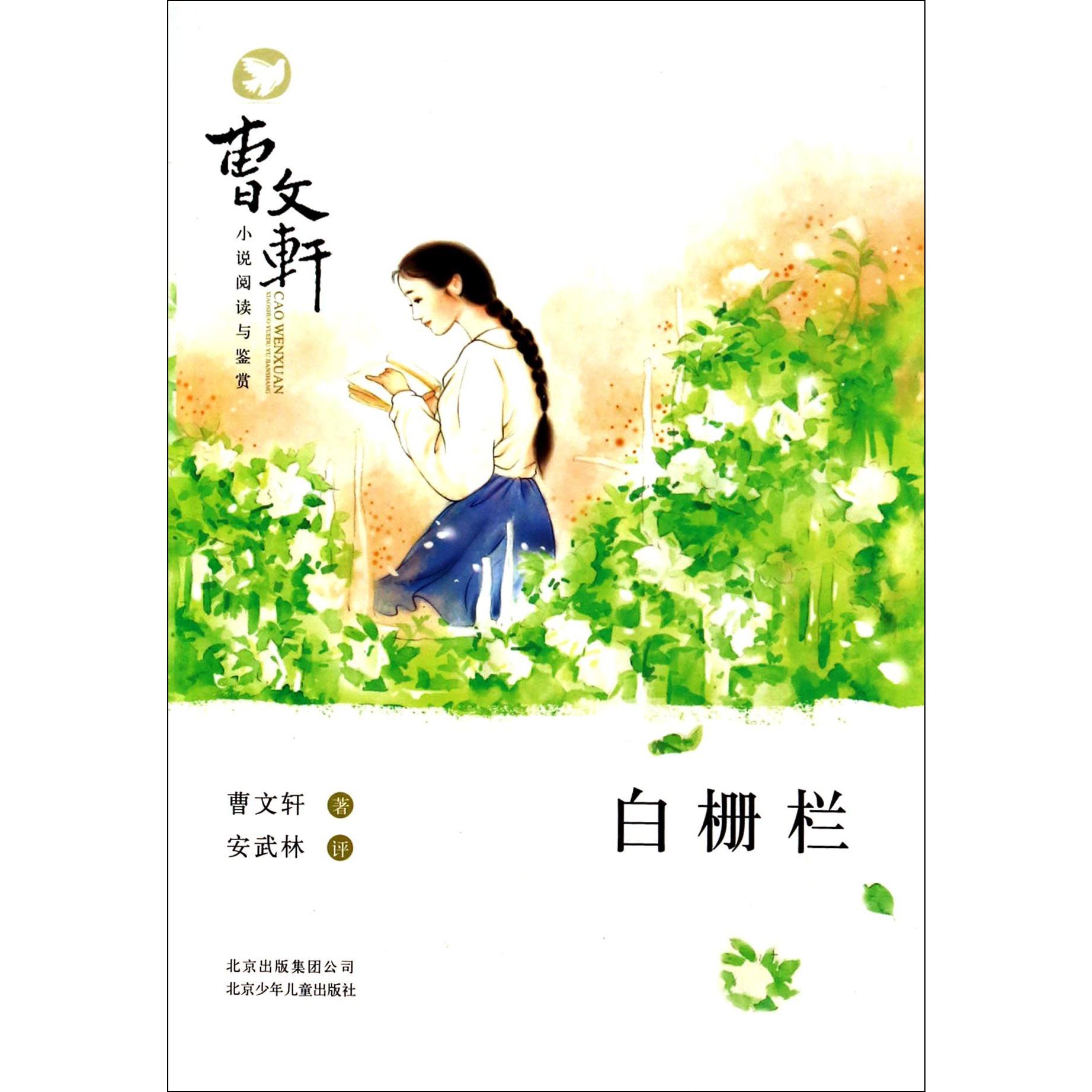 白栅栏/曹文轩小说阅读与鉴赏