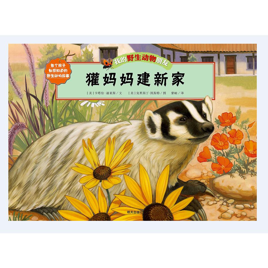 獾妈妈建新家/我的野生动物朋友