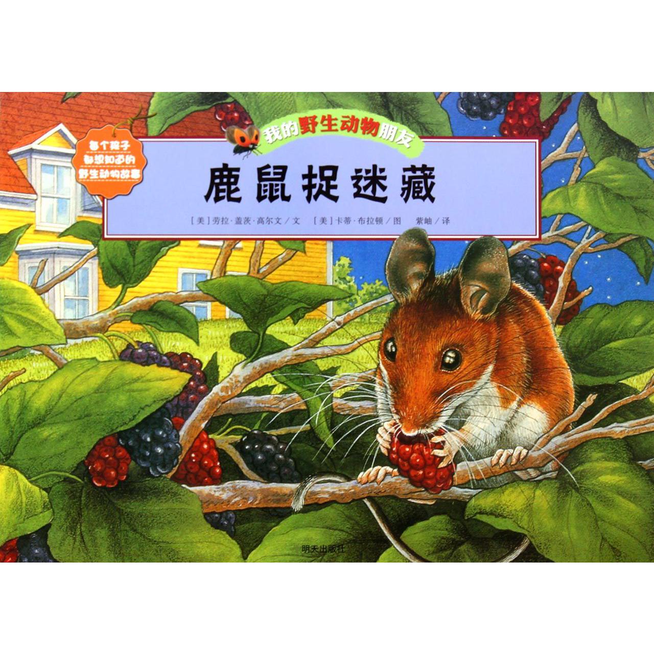 鹿鼠捉迷藏/我的野生动物朋友