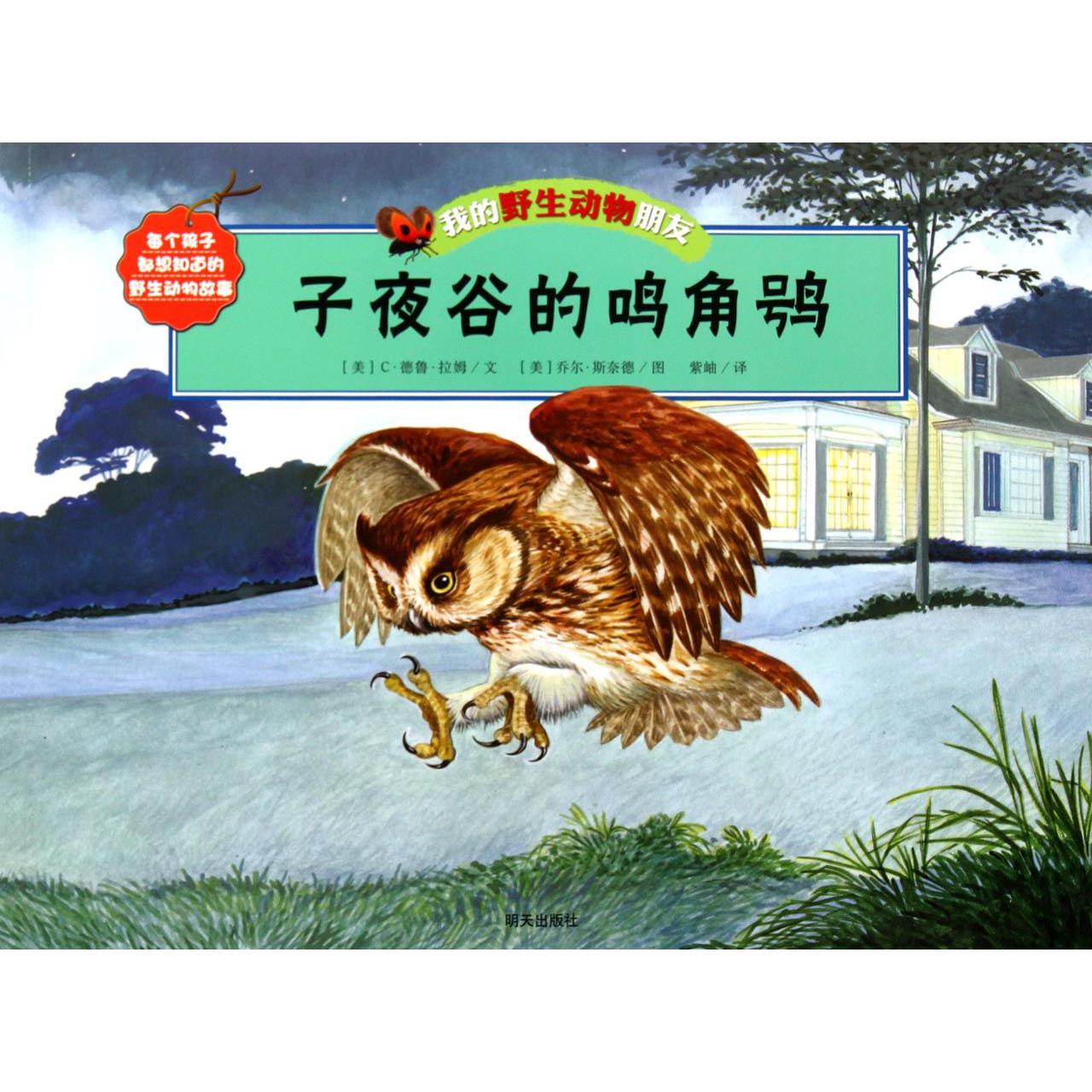 子夜谷的鸣角鸮/我的野生动物朋友