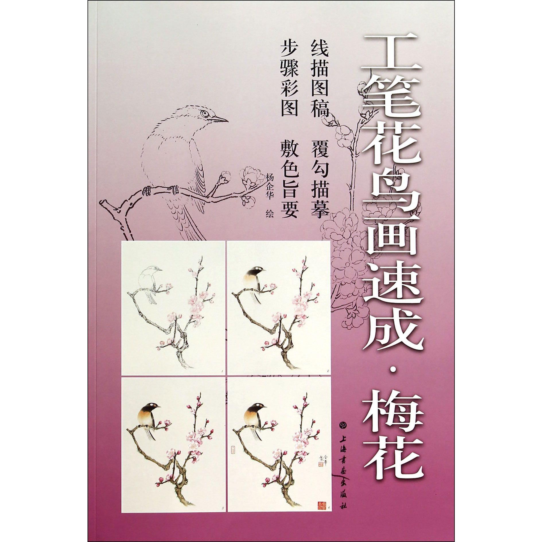 工笔花鸟画速成(梅花)