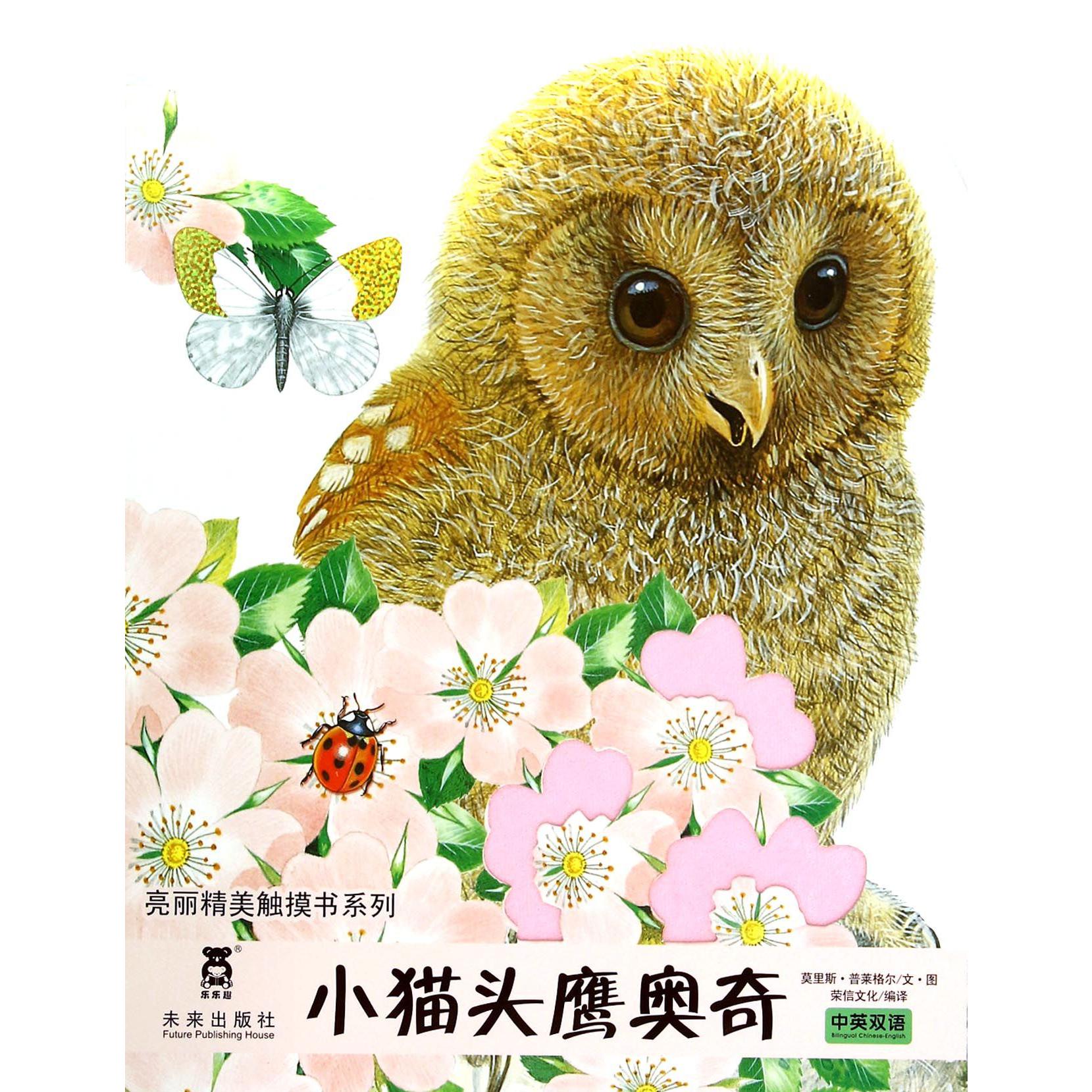 小猫头鹰奥奇(中英双语)/亮丽精美触摸书系列