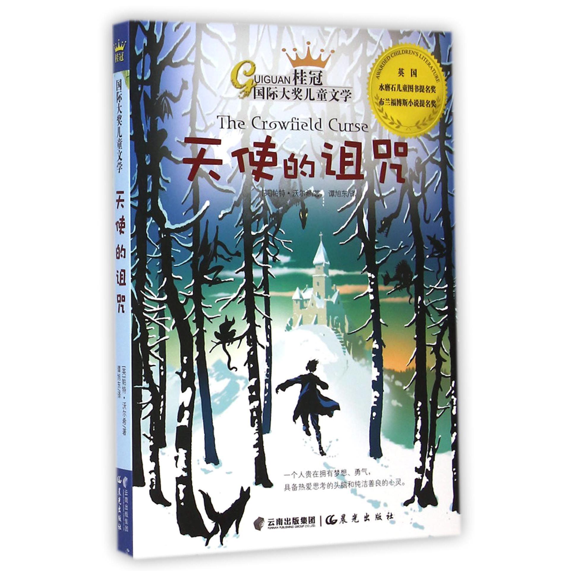 天使的诅咒/桂冠国际大奖儿童文学