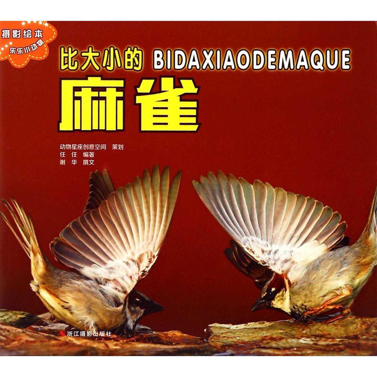 比大小的麻雀/乐乐小动物摄影绘本