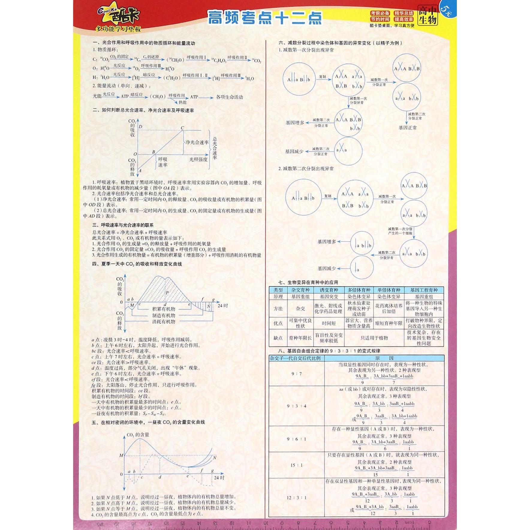 多功能学习垫板(高中生物)