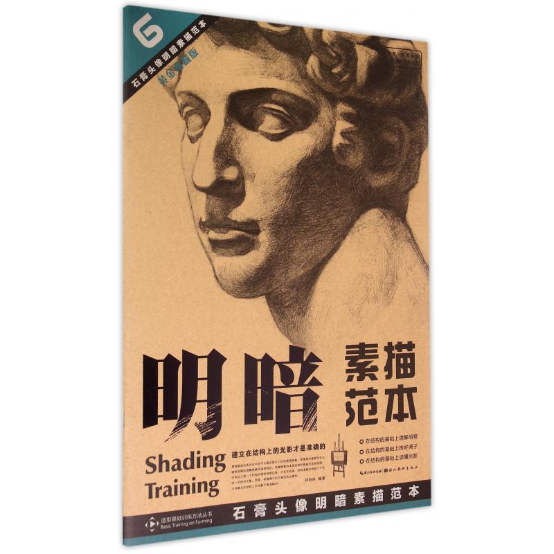 石膏头像明暗素描范本(黄金典藏版)/造型基础训练方法丛书