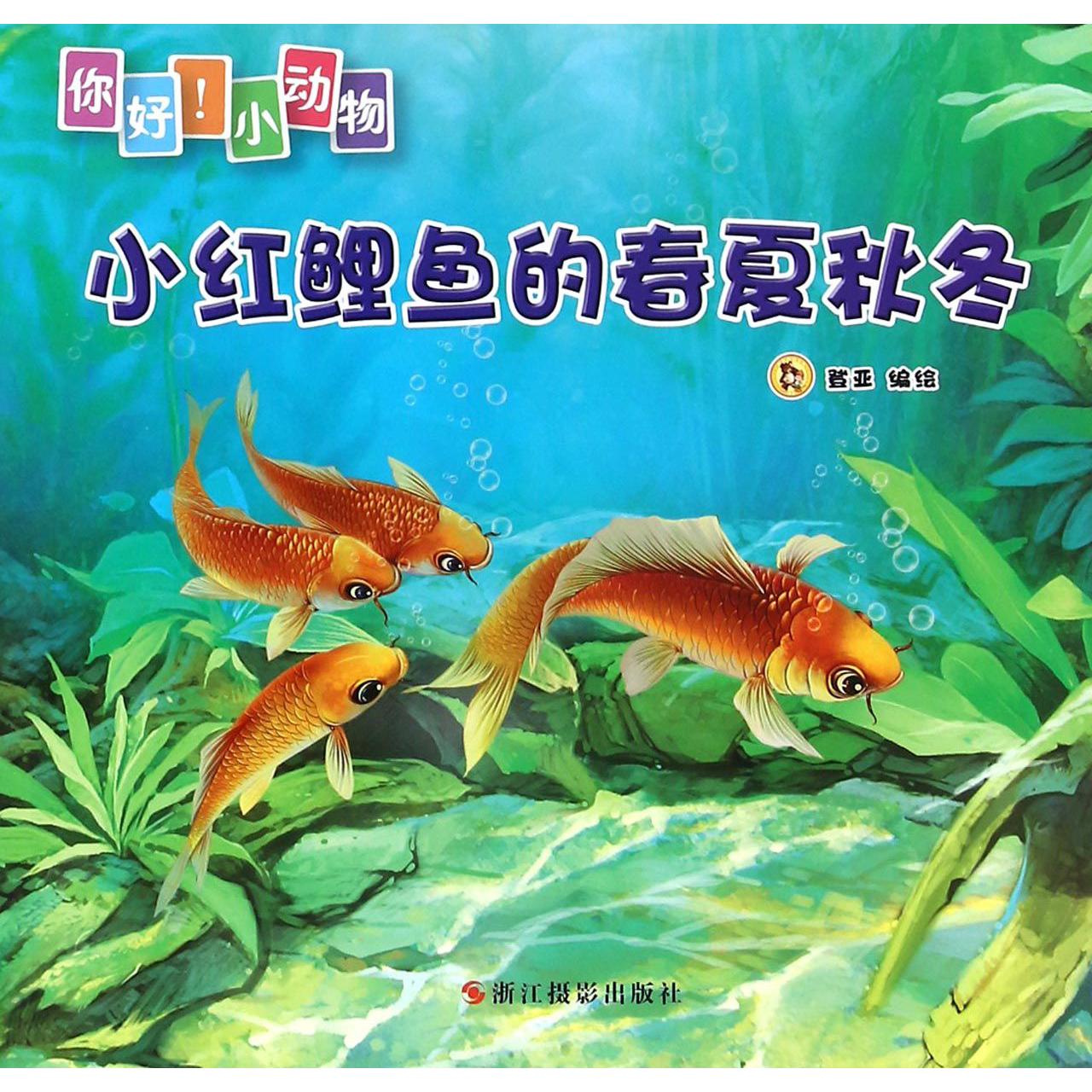 小红鲤鱼的春夏秋冬/你好小动物