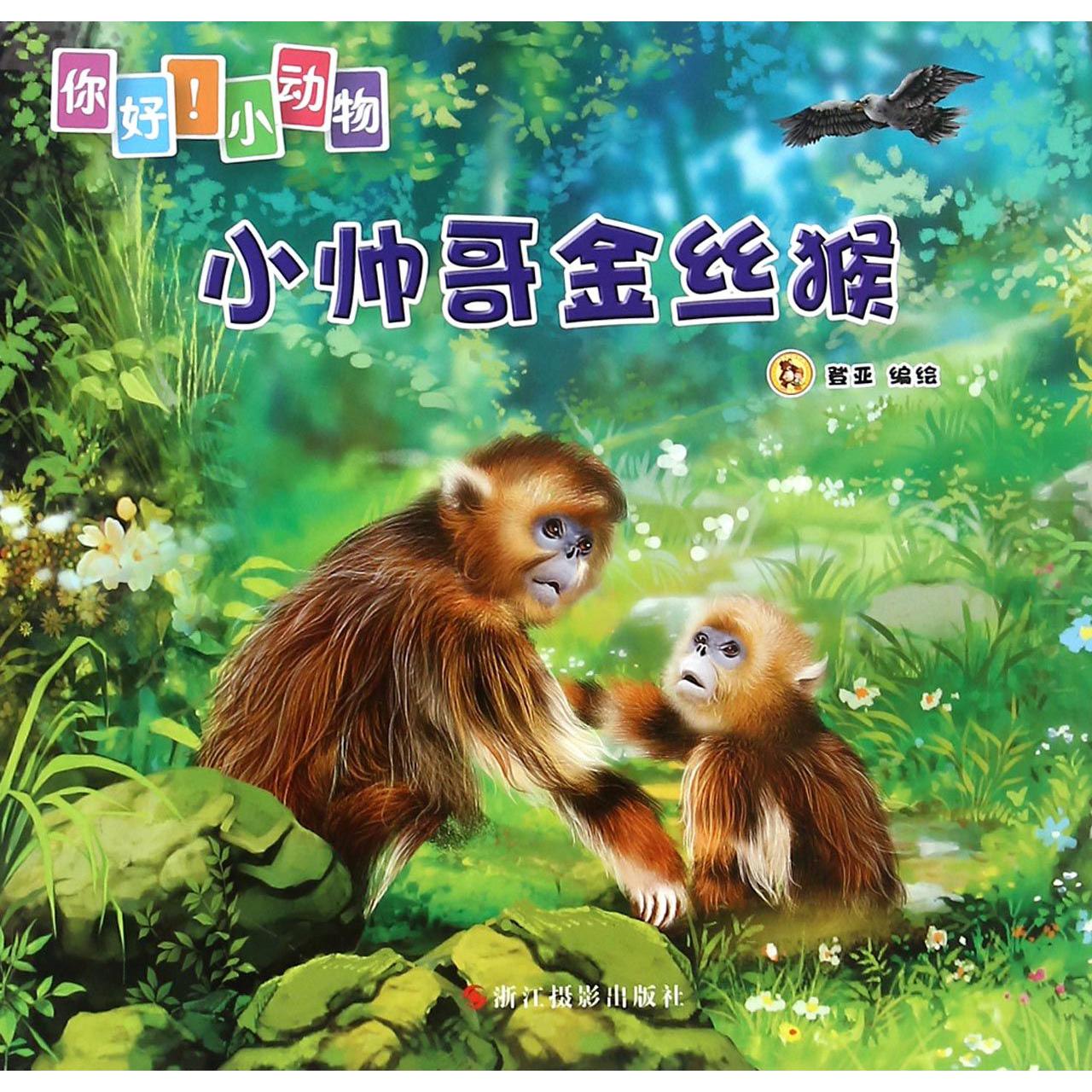 小帅哥金丝猴/你好小动物