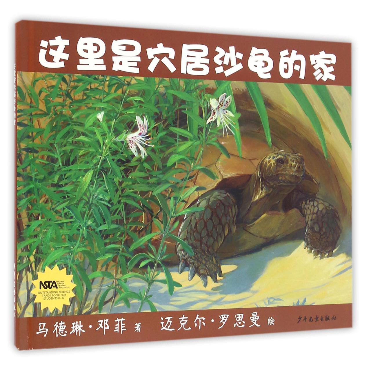 这里是穴居沙龟的家(精)