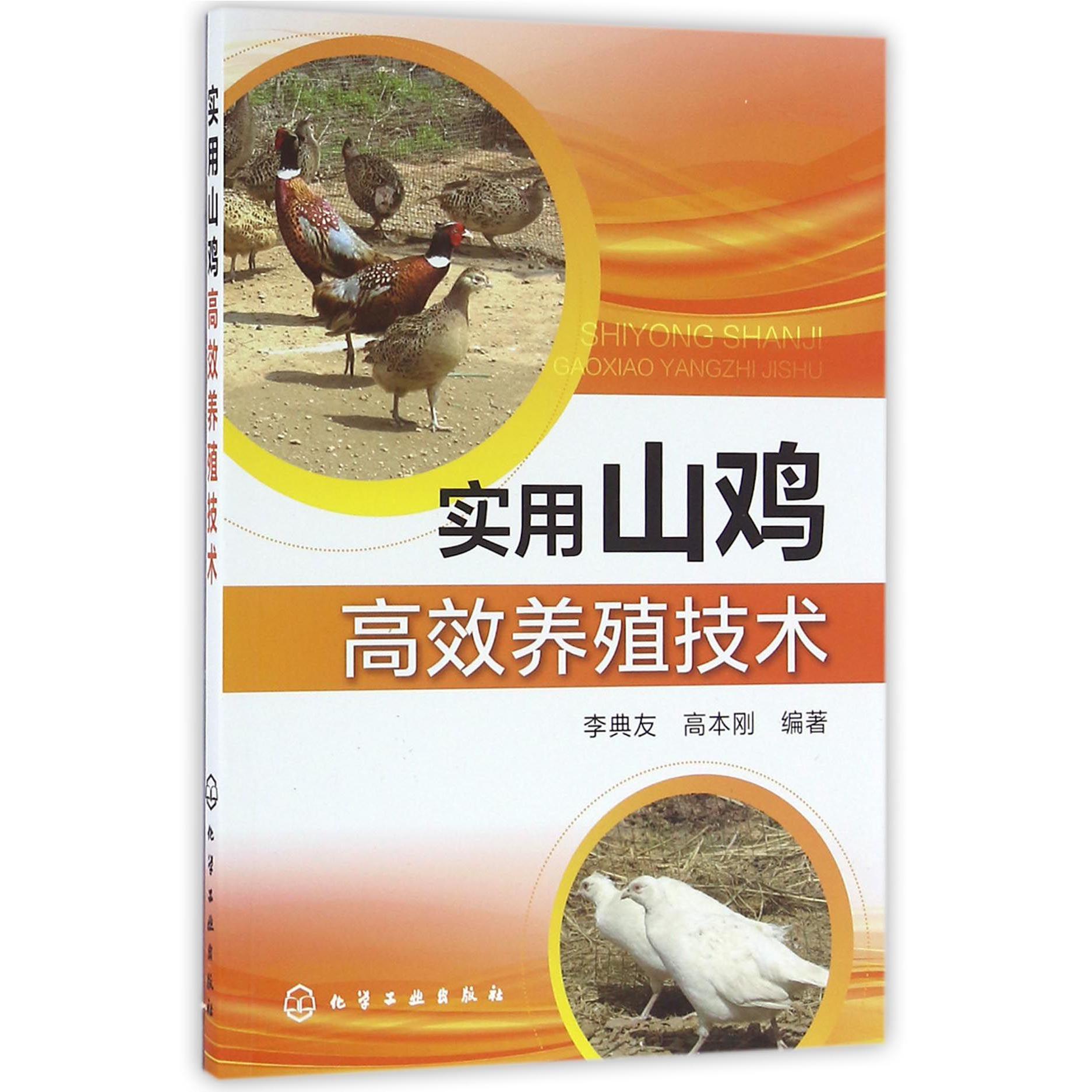 实用山鸡高效养殖技术