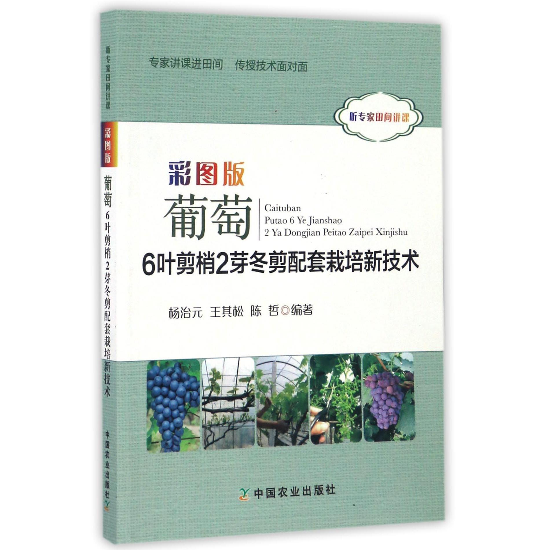 彩图版葡萄6叶剪梢2芽冬剪配套栽培新技术(听专家田间讲课)