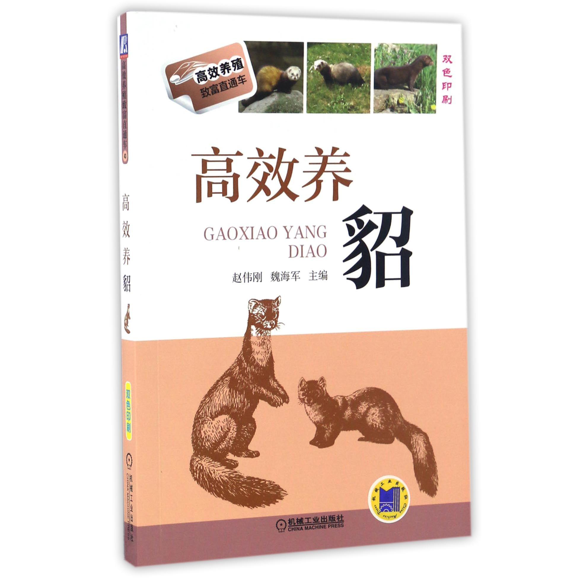 高效养貂(双色印刷)/高效养殖致富直通车